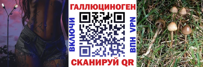 Галлюциногенные грибы MAGIC MUSHROOMS Поронайск